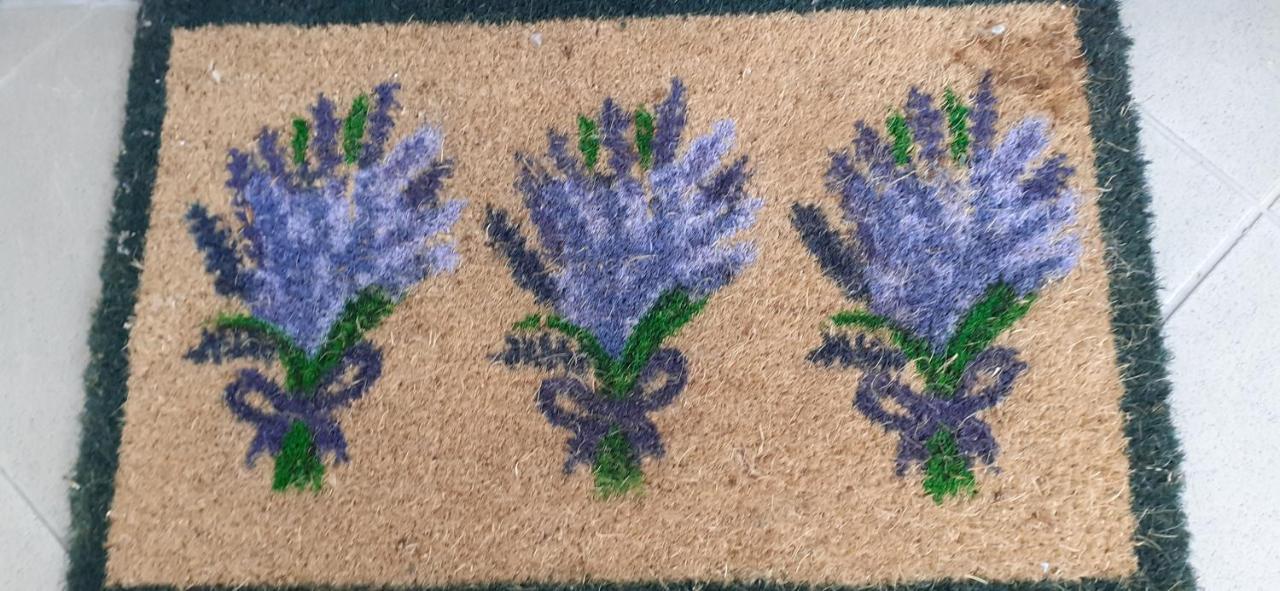 Hévíz Lavender Apartment מראה חיצוני תמונה